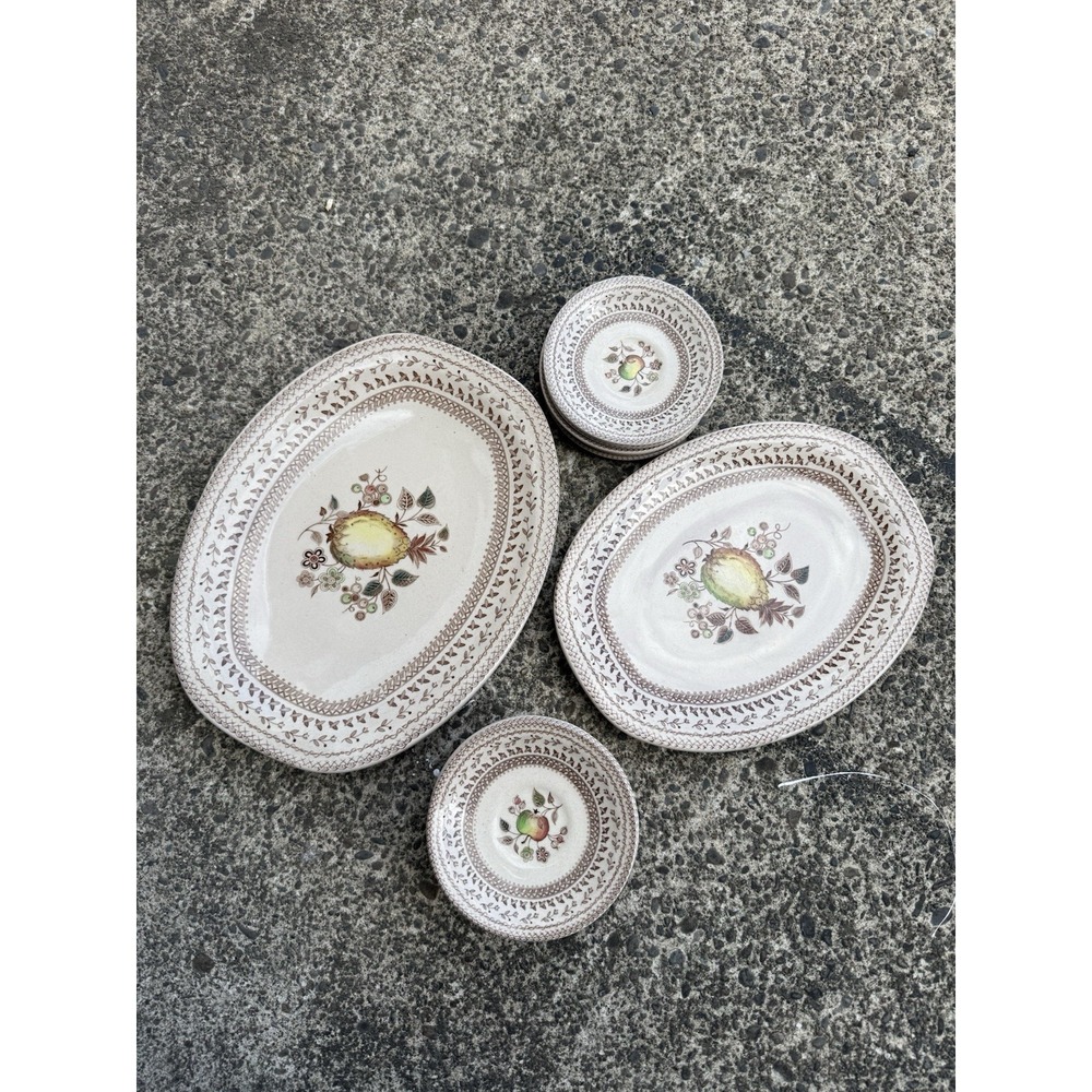 Set of 17 Johnson Brothers Fruit Sampler Old Granite‎ Plus 2 Platters